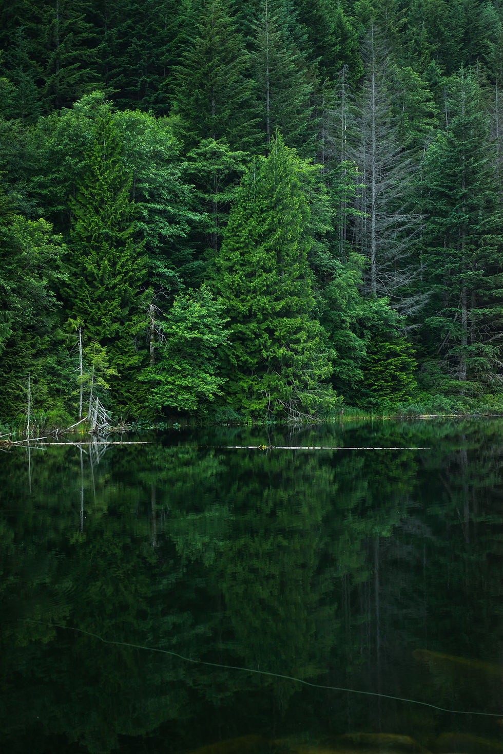 Green Nature