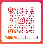 Instagram.jpg