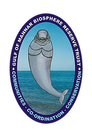 GoMBRT_logo.png